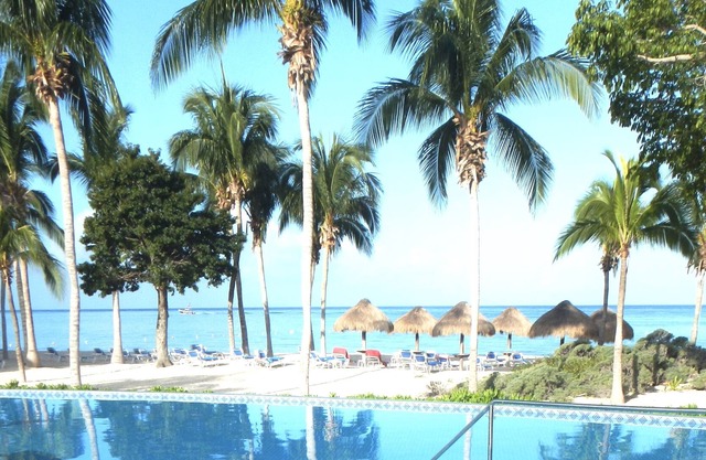 Paradise in Cozumel.... private beach, enjoy the blue view!