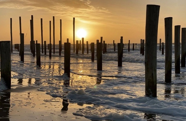 Parel op 5 Minuten Afstand van het Strand en op 5 Sterren Camping de Watersnip