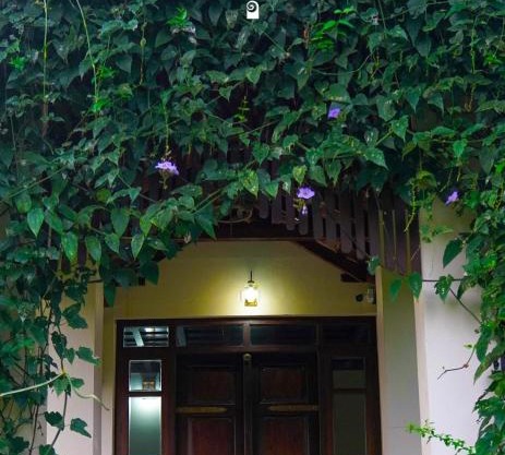 pathaayam farm view wayanad