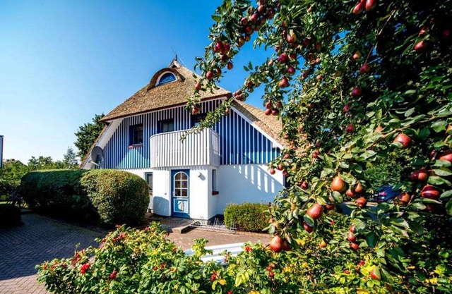 Peace and nature in the heart of Wieck - Rüm Hart vacation apartment