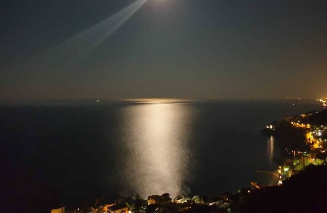 Peace between the olive trees and the sea