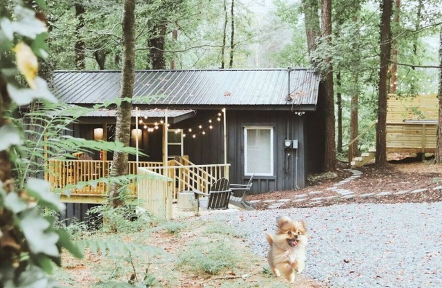 Peaceful 1br Cabin | Hot Tub | Pets Welcome!