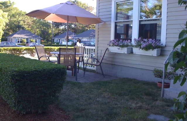 Peaceful and magical, full ocean view cottage at Rocky Shores by the sea.