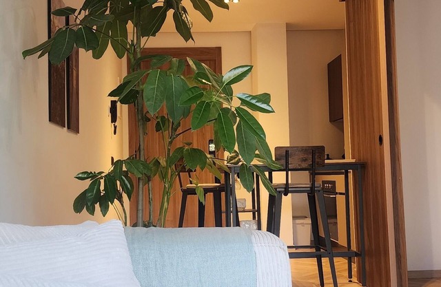 Peaceful, central apartment in a quiet, tree-lined street, rare in Casablanca.