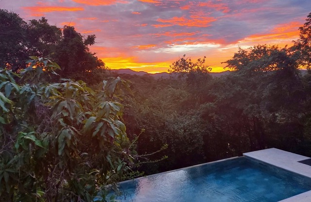 Peaceful, entire first floor apartment with pool surrounded by wildlife