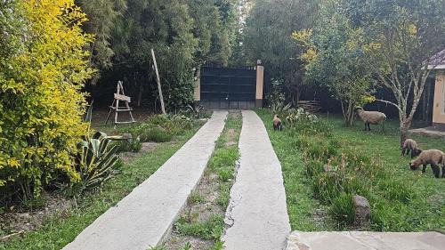 Peaceful Farm House facing the Aberdares