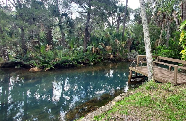 Peaceful house right on the spring. Great place to get away from everything.