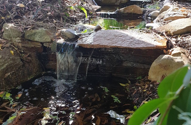 Peaceful nature near City & ANU with the full kitchen, bathroom, &free parking