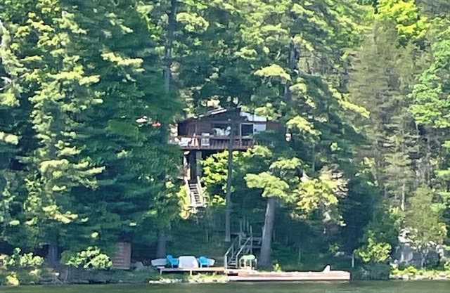Peaceful/private cottage experience w/bunkie and kayaks (pet friendly)
