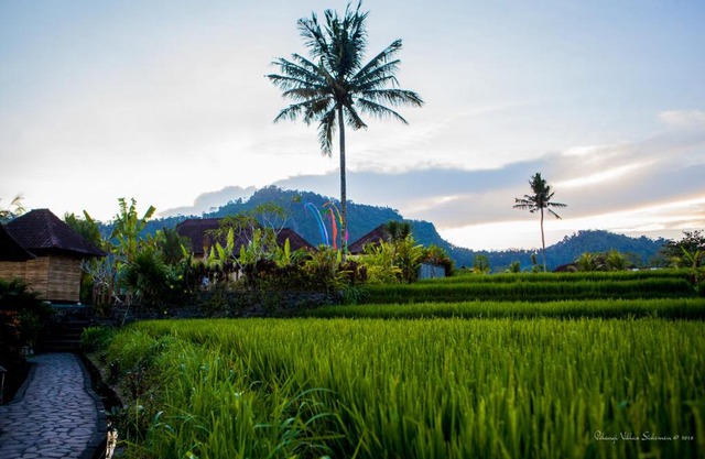 Pelangi Villas Sidemen by AGATA