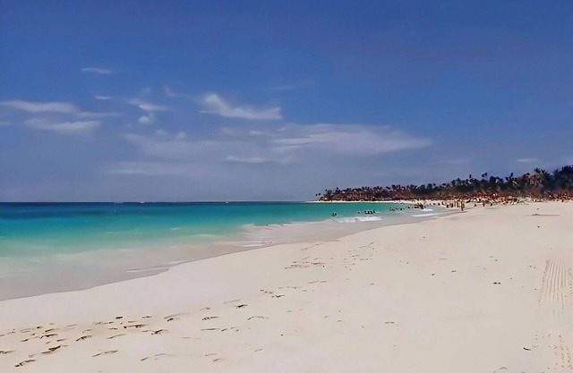 Penthouse 335 Cana Rock 🎸 De Lux En Punta Cana