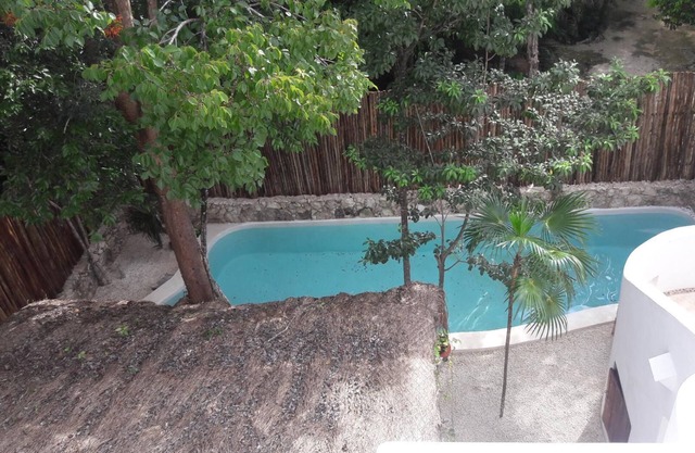 Penthouse In The Jungle near some of the best Cenotes and The Beach
