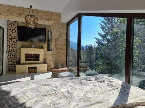 Penthouse luxury Predeal View