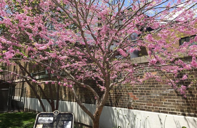 Perfect Downtown Toronto, Heart Of Queen West - 20 Minute Walk To CN Tower