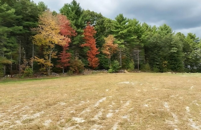 Perfect for Groups! 3 Spacious Units w/FREE Breakfast, Minutes to Patriot Place