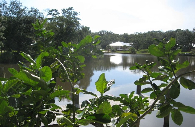 Perfect time to go fishing! Beaches are still warm too. Book now!