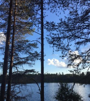 Petäjälammen Turistimajat