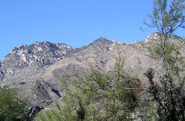Pet Friendly-1st Floor 2 with Direct Access from parking - Mountain Views!