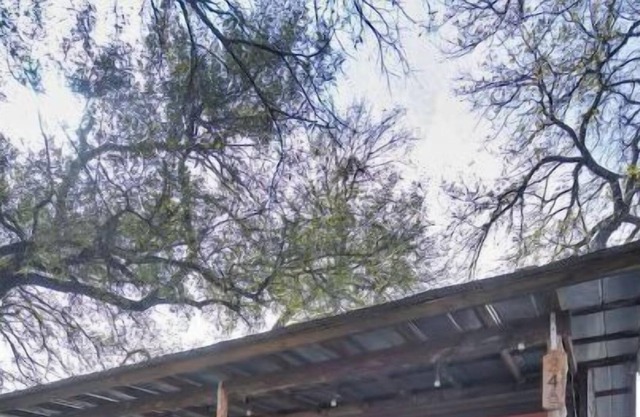 Pet-friendly cabin with hot tub