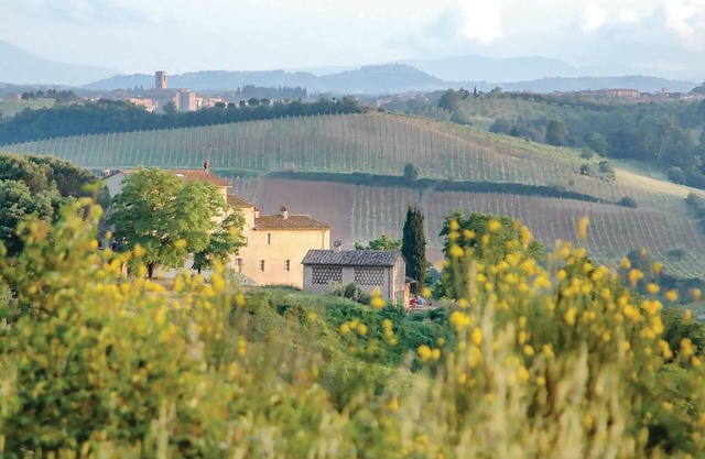 Pet friendly home in Poggibonsi SI