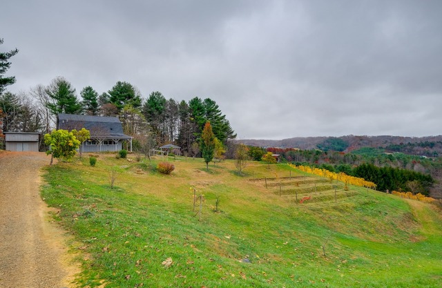 Pet-Friendly Pilot Studio w/Vineyard Views!