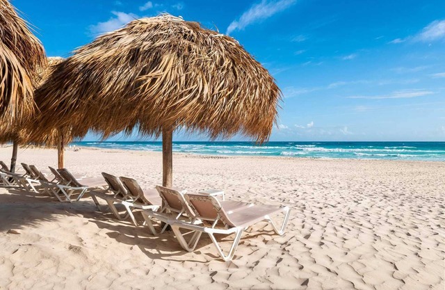 Pet-friendly Resort, Caribbean Diamond King! Hard Rock Punta Cana | 4 Units