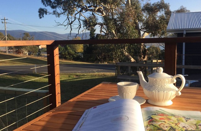 Pet Friendly, snow & lake views & walk to lakefront
