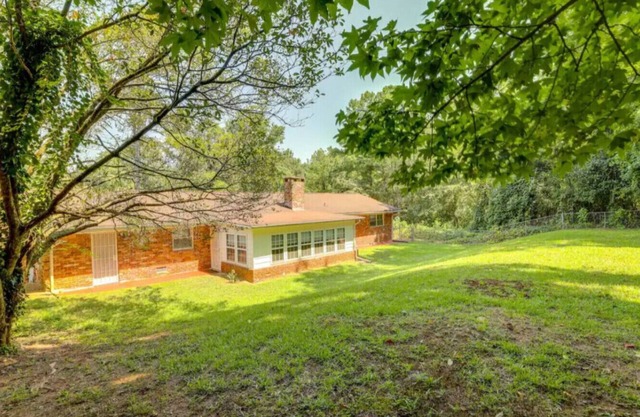 Pet-Friendly Spacious Backyard BBQ Grill