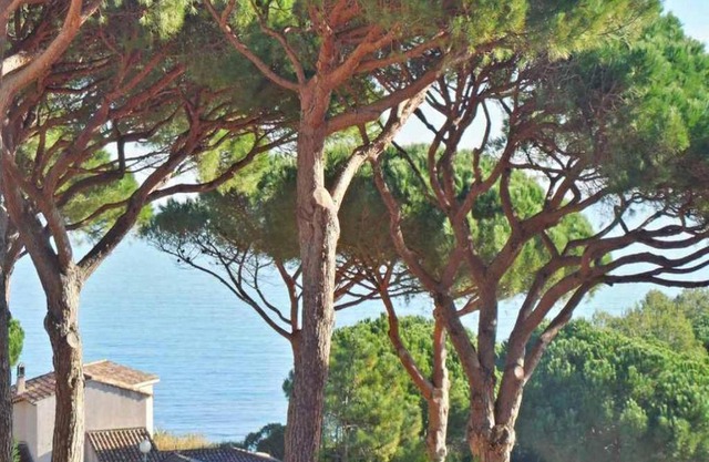 Pierre et Vacances n° 14