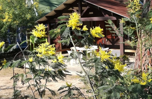 Pleasant Tourterelle chalet in a heavenly site