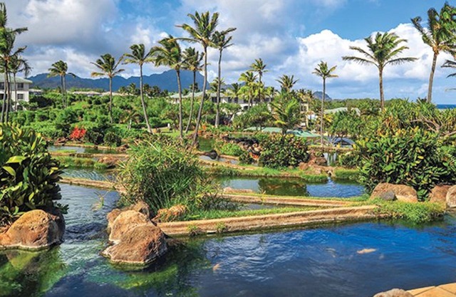 Point at Poipu, oceanfront resort, beautiful lagoon style pool!
