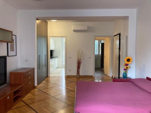 Ponale 52 bright studio