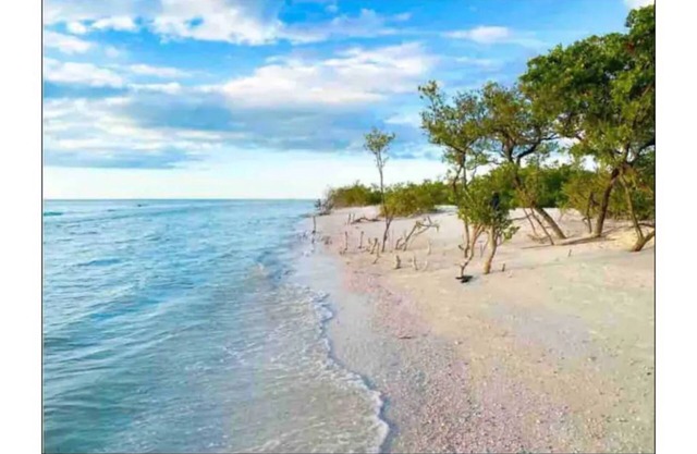 *Pool* 8.5 miles to Honeymoon Island. 4 bdr