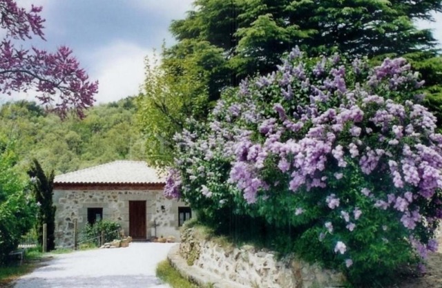 Posada Peña Pintada by Vivere Stays