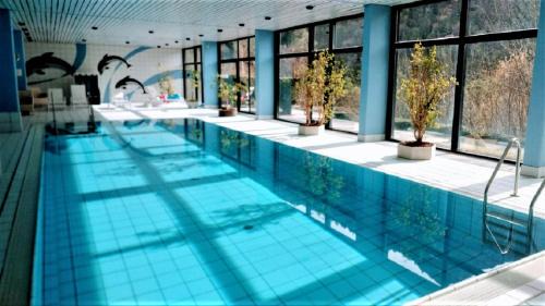 Predigtstuhlblick Apartment - Terrasse - Pool - Panorama