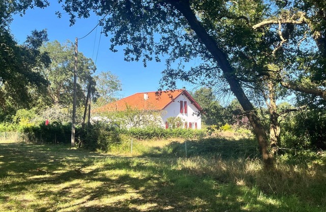 Pretty, quiet house 3 km from the beach