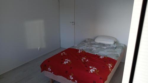 Private room in shared appartment