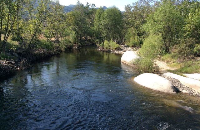 Private, upscale, riverfront cabin, sleeps 6; amazing amenities to dazzle