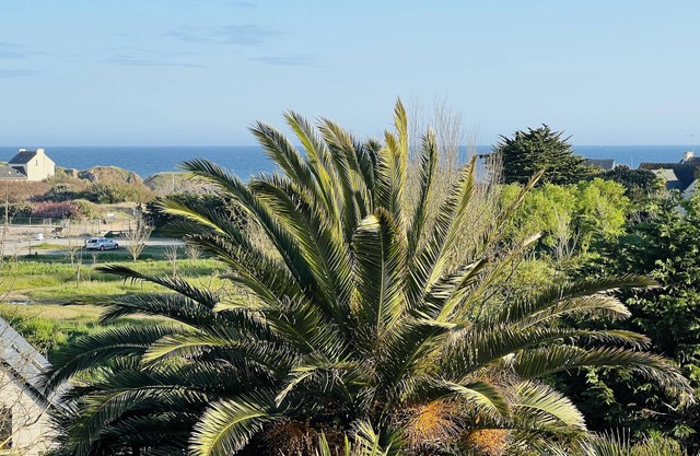 Propriété - Jardin Exotique en Bordure de L'océan