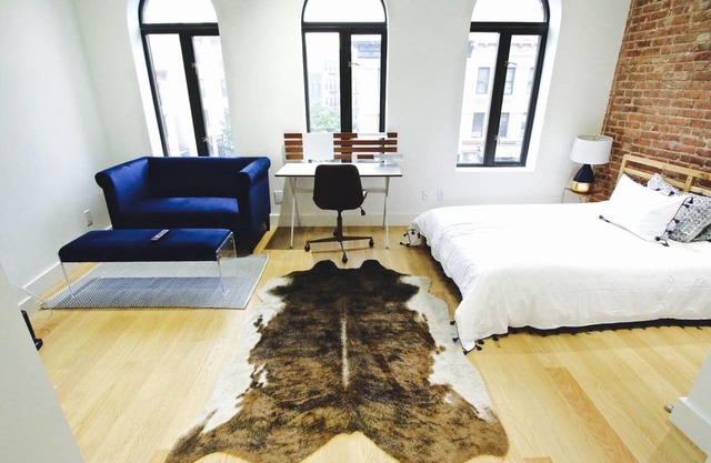Prospect Heights BK Industrial Modern Studio Apt