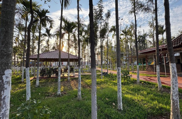 Punam Paravasha