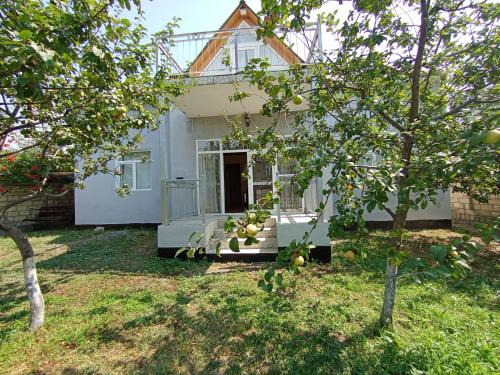 Qəbələn SNS RENTAL VILLA