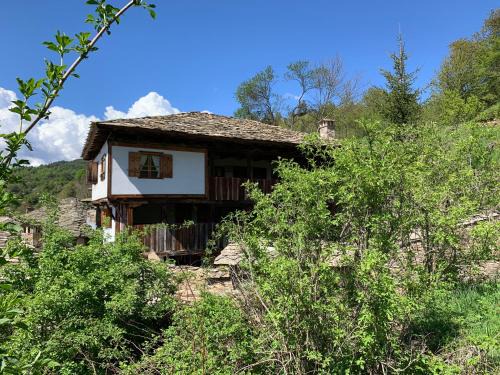 Q.pova house