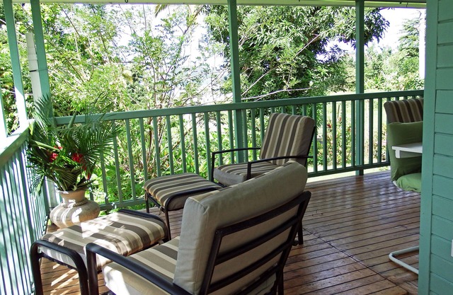 Quaint Hide-Away House Overlooking Picard River and Nestled Amongst the Trees