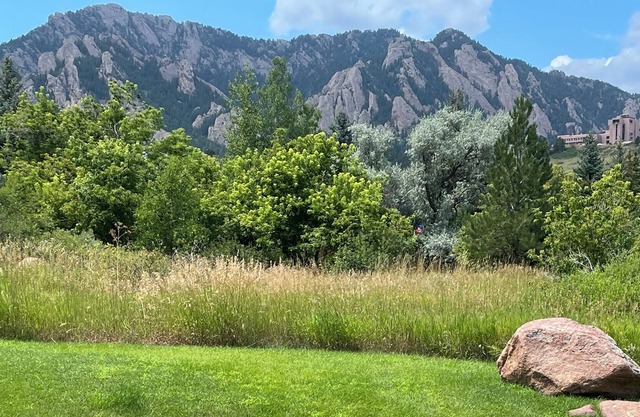 Quiet 3-bdrm w/ stunning views. Great work-from-home spaces.