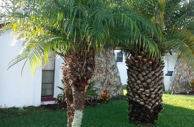 Quiet Gulf Canal Neighborhood with Enclosed Lanai & Heated Pool EV friendly