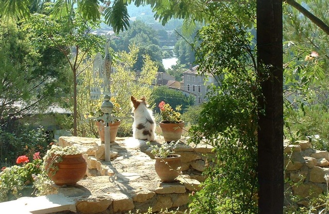 Quiet, pool, stunning views, lovely region and 10 min on foot from all amenities