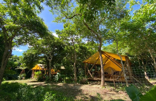 RAINBOW FOREST Permaculture filed - Vacation STAY 13693v