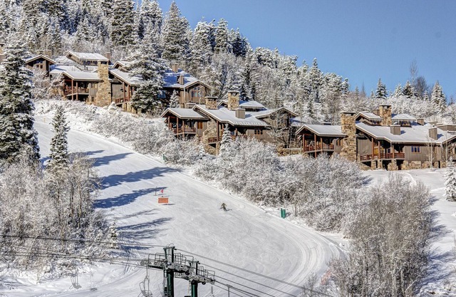Rare ski-in/ski-out in lower DV! Quick access to ski school, Spacious and cozy!