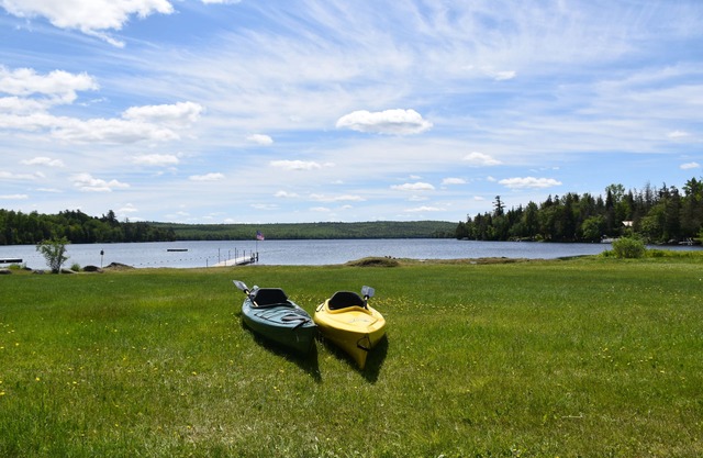 Reduced - Leaf Peeper Special